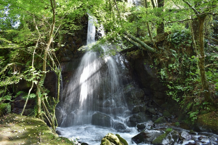 湯河原の万葉公園