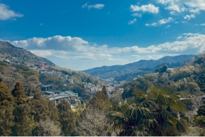 特別室さくらの間景色